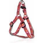 20220803090516_pet_interest_samaraki_skylou_romb_kokkino_extra_small_15mm_x_25_35cm