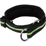 71oyZzRSJPL._AC_SL1500_